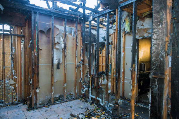 Professional Fire Damage Removal technician working in Prosperity, SC